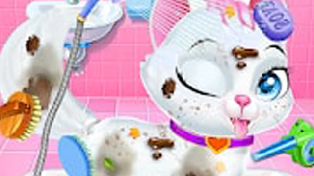Animal Daycare Pet Doctor