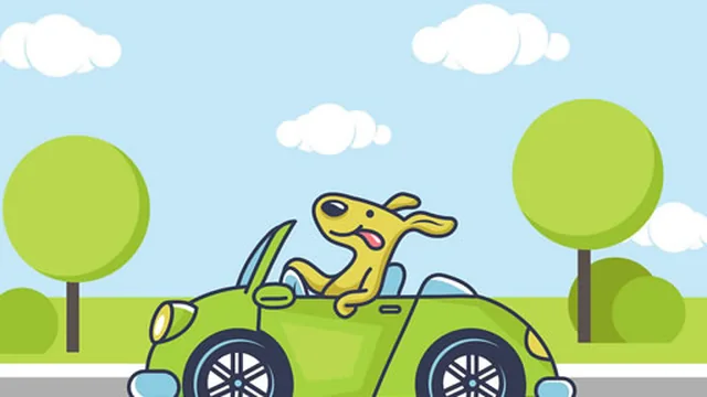 Animal Happy Drive Coloring