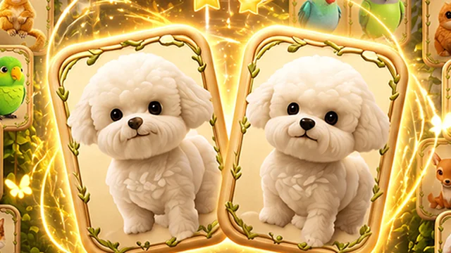 Animal Pair Card Match