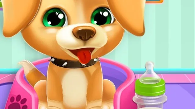 Animals Day Care