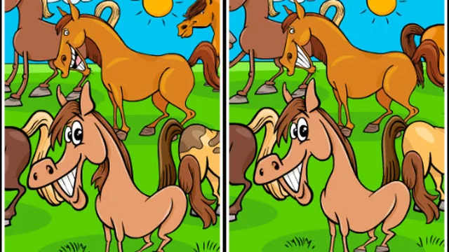 Animals Differences game thumbnail
