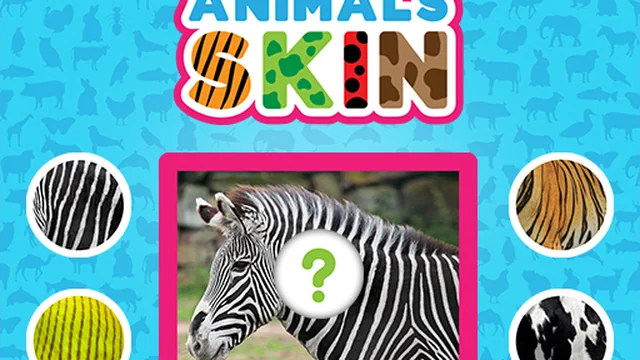 Animals Skin