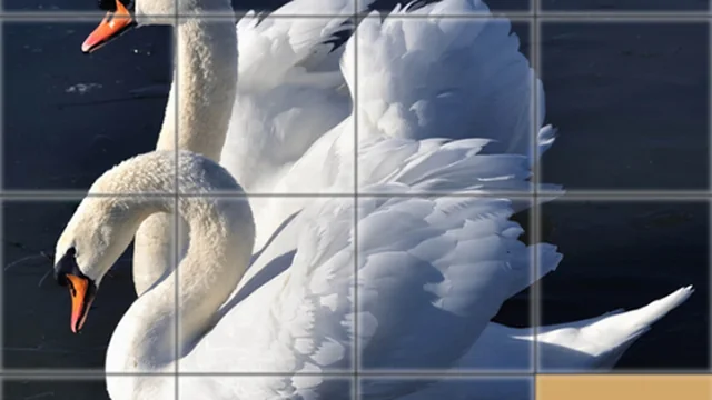 Animals Slide Puzzle