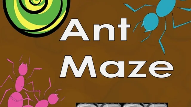 ant maze
