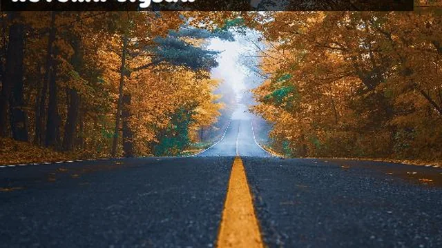 Autumn Trees Jigsaw