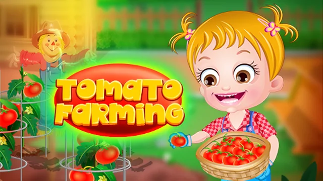 Baby Hazel Tomato Farming