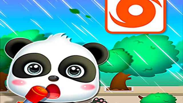 Baby Panda Hurricane Safety