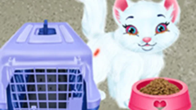 Baby Taylor Pet Care - Save Cute Animals