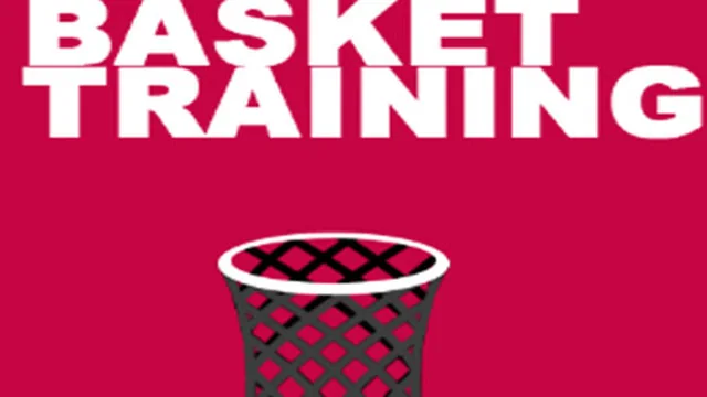 Basket Training game thumbnail