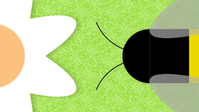 Beenvaders