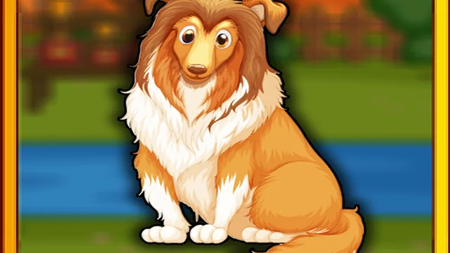 Bernese Mountain Dog Escape