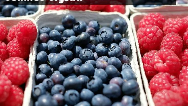 Berries Jigsaw