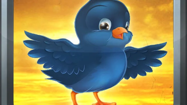 Bird Fly