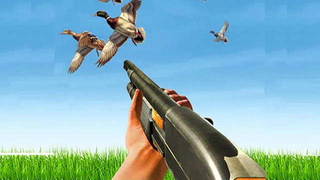 BIRD HUNTING Gun Fire Shooter