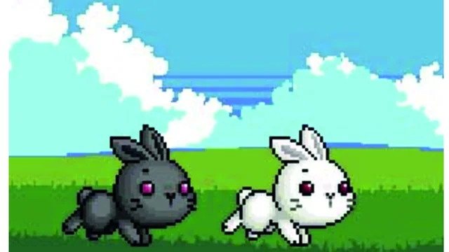 Bu Bunny Two Rabbit