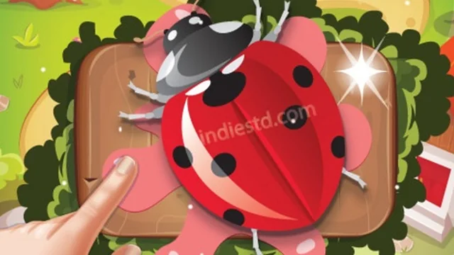 Bugs Bang 2019