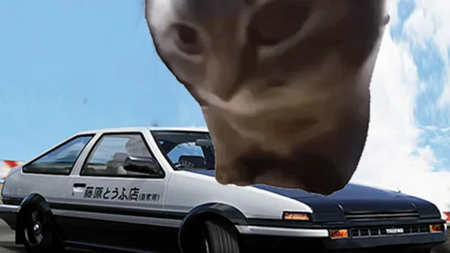 Car Stunt Chipi Chipi Chapa Chapa Cat