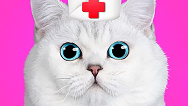 Cat Pet Doctor Dentist
