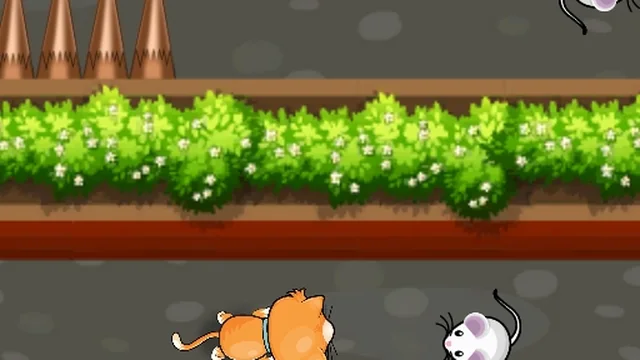 Cat Trap Labyrinth Escape