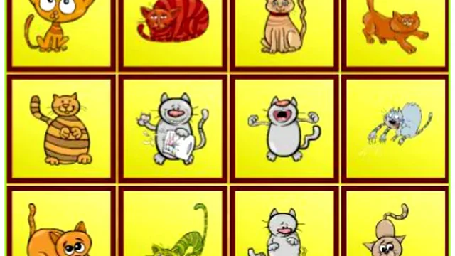 Cats Findiff
