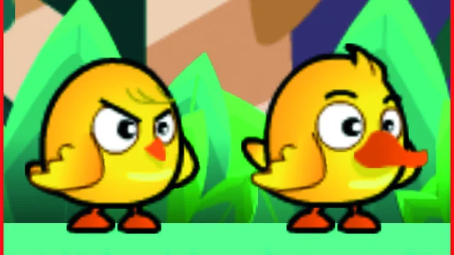 Chicken And Duck Brothers