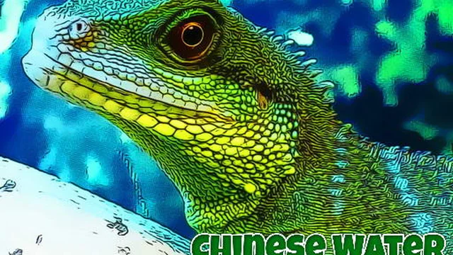 Chinese Water Dragon Jigsaw game thumbnail
