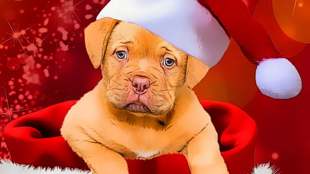Christmas Dogs Styles