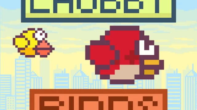 Chubby Birds