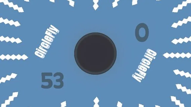 CircleFly