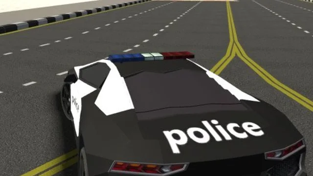 City Car Driving Simulator 3D