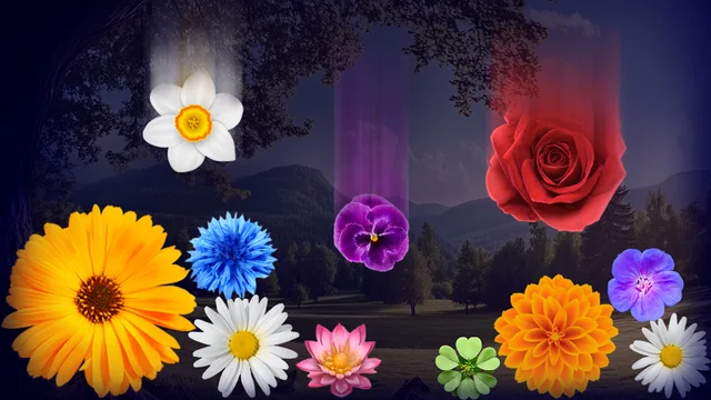Connecting Flowers: Garden Merge game thumbnail
