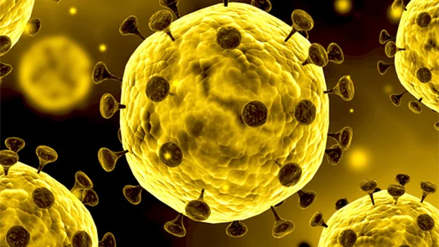 Coronavirus Slide