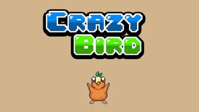 Crazy Bird