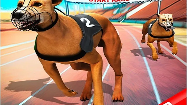 Crazy Dog Race