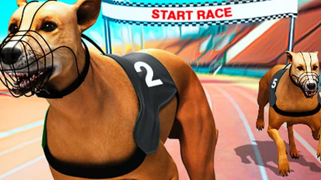 Crazy Dog Racing Fever