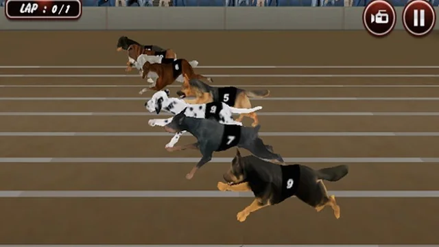 Crazy Dog Racing Simulator Games 3D game thumbnail