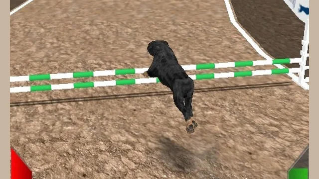 Crazy Real Dog Race game thumbnail
