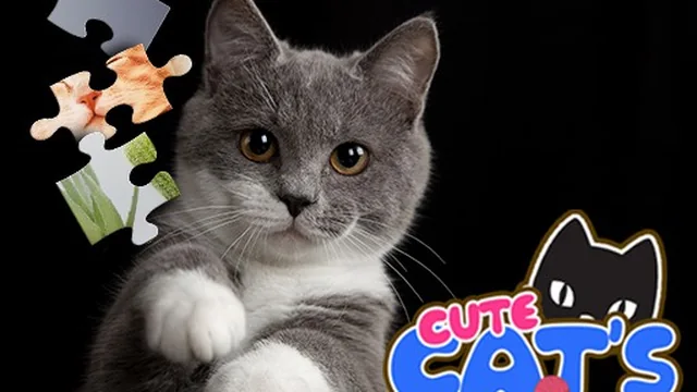 CUTE CATS JIGSAW PUZZLE