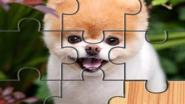 Cute Dogs Jigsaw Puzlle