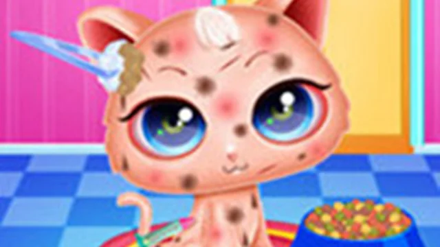 Cute Kitty Care - Pet Makeover