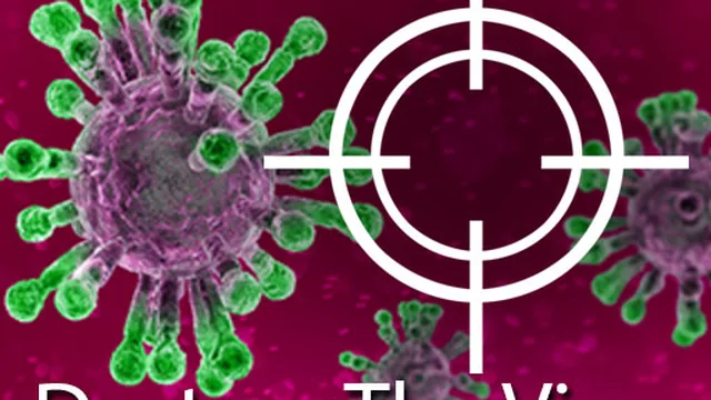Destroy The Corona Virus