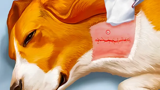 Dog Hospital