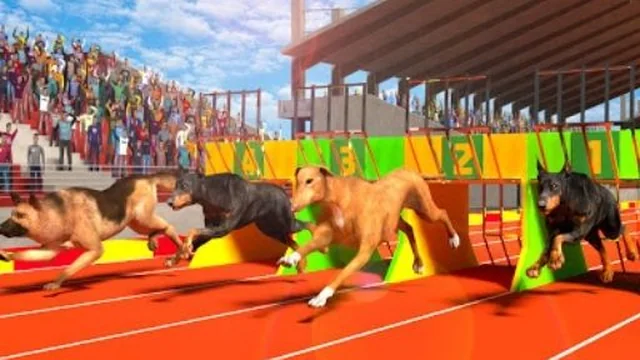 Dog Run 3D game thumbnail