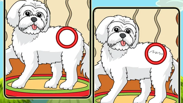 Dogs Spot The Differences 2