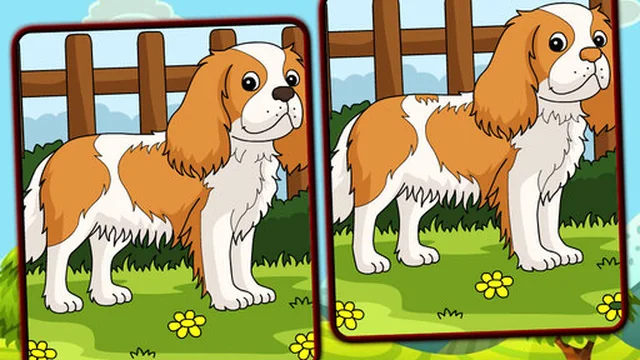 Dogs Spot The Differences