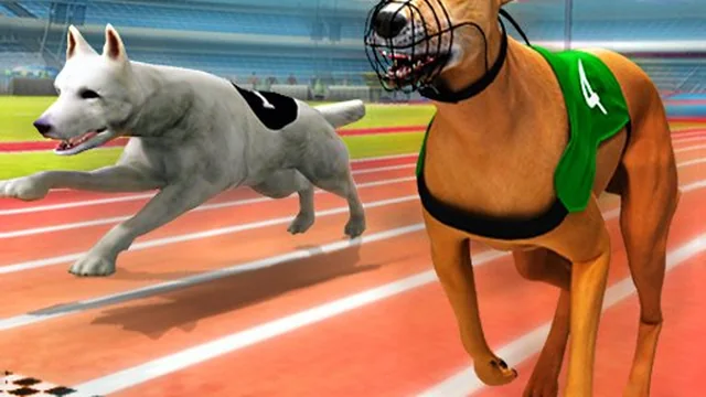 Dogs3D Races