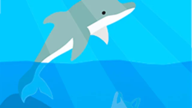 Dolphin Life