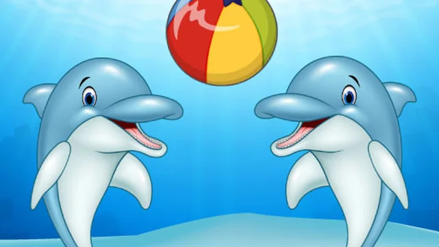 Dolphin Show