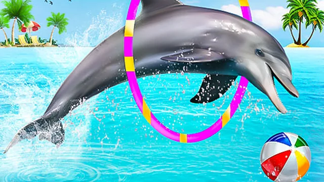 Dolphin Water Stunts Show