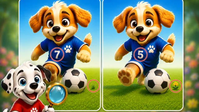Dream Puppy Spot The Differences